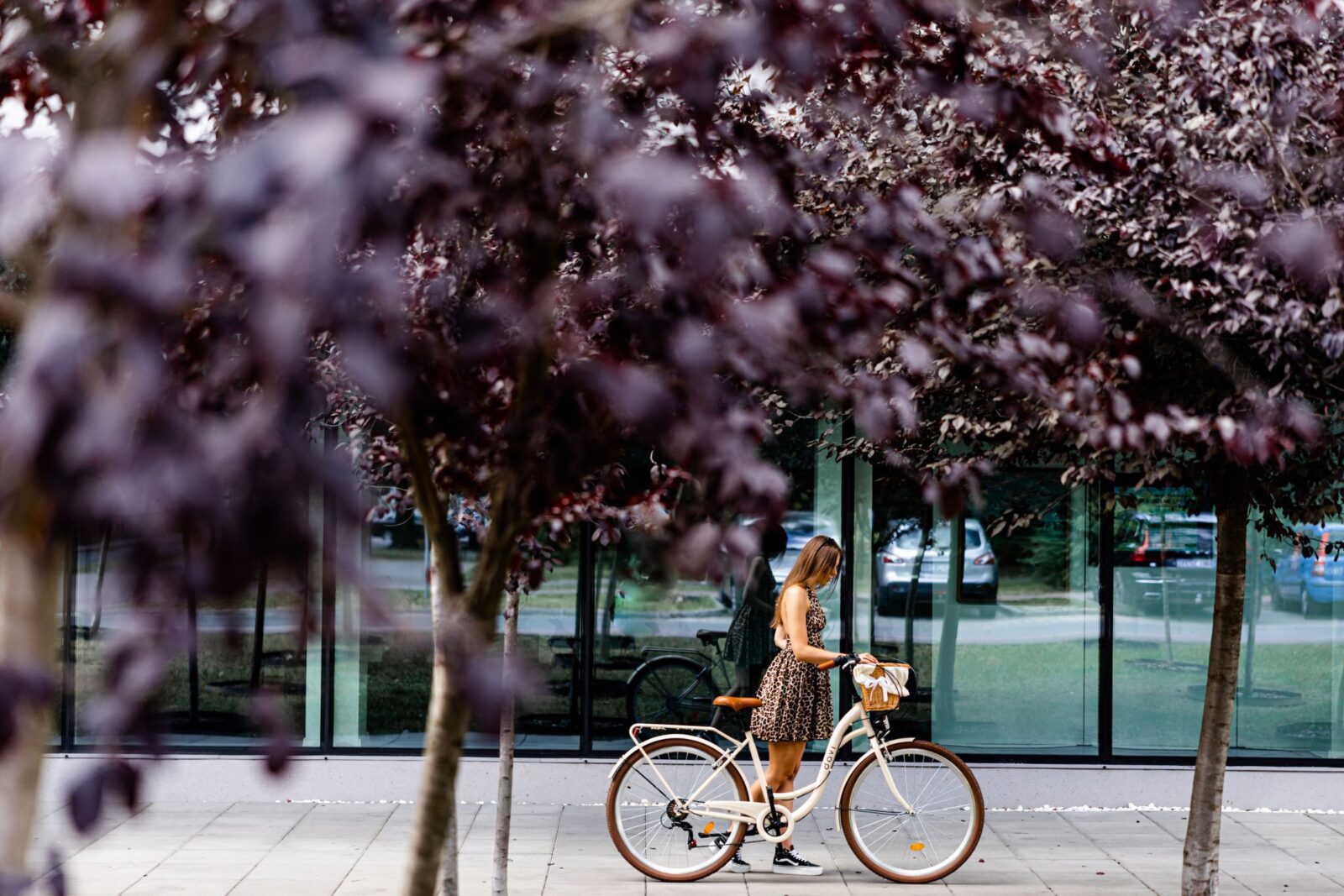 Kvinna med cykel vid trädkantad gata