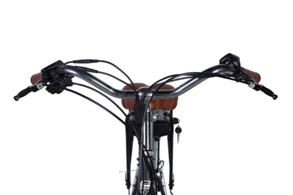 Cykelstyren med bromsar och växlar närbild