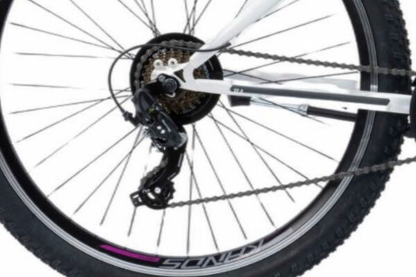 Cykelbakre hjul och kedja detaljerad vy.