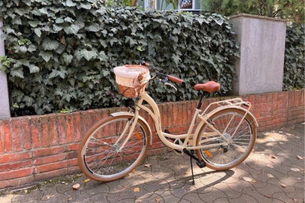 Beige cykel med korg mot tegelmur