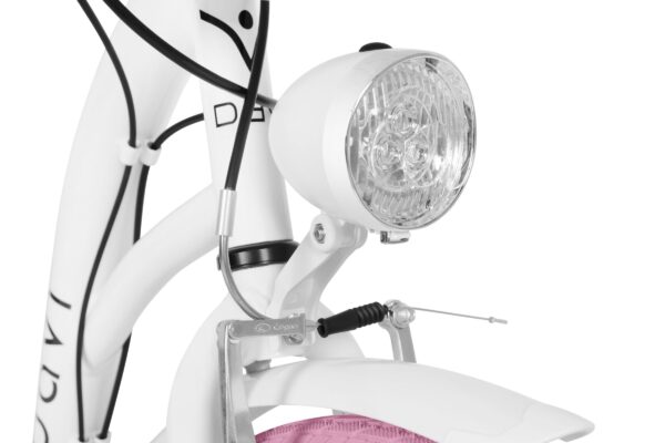 Close-up av cykellampa och fjädergaffel.