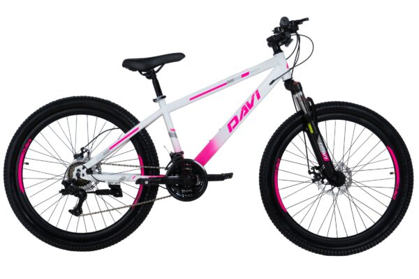 bicicleta mtb davi bonita 26